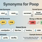 synonyms for poop